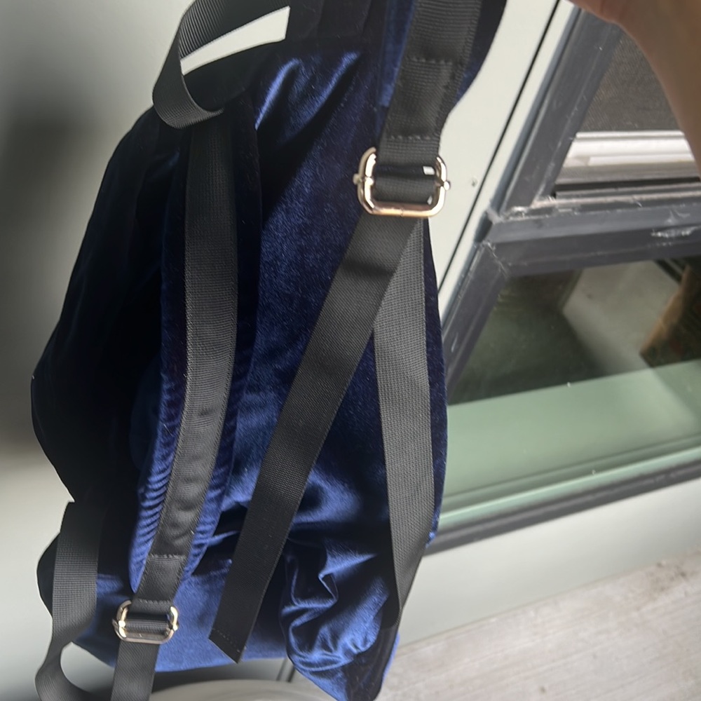 Velvet Backpack - Picture 4 of 4